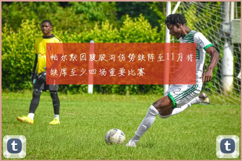 帕尔默因腹股沟伤势缺阵至11月将缺席至少四场重要比赛