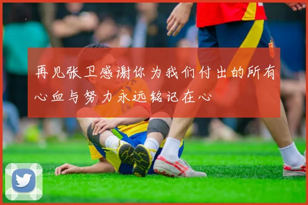 再见张卫感谢你为我们付出的所有心血与努力永远铭记在心